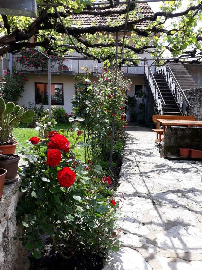 Apartment Dejan Cetinje Exterior photo