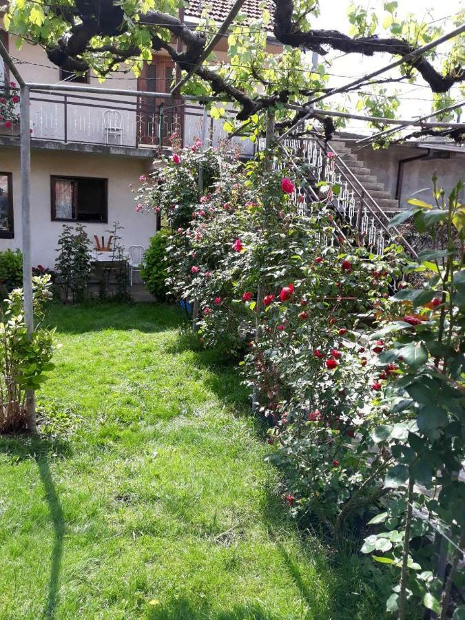 Apartment Dejan Cetinje Exterior photo