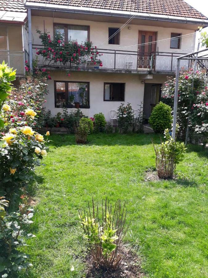 Apartment Dejan Cetinje Exterior photo